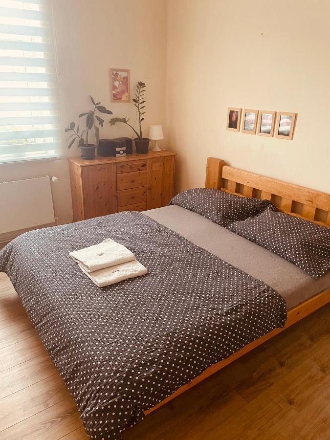 פראג Apartman Lucian מראה חיצוני תמונה