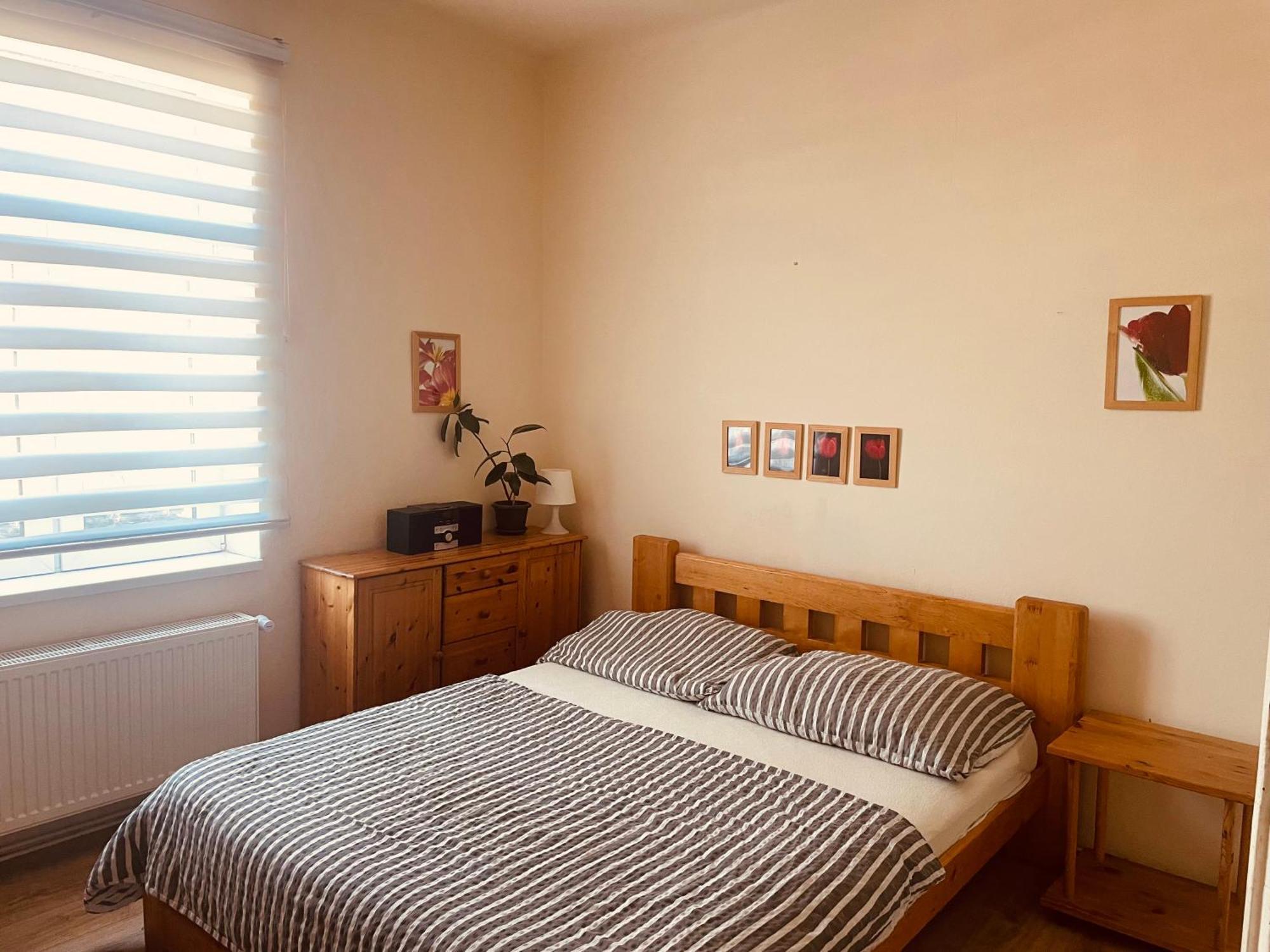 פראג Apartman Lucian מראה חיצוני תמונה